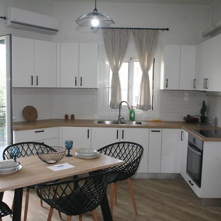 Aeraki House Apartamento Lefkáda Exterior foto